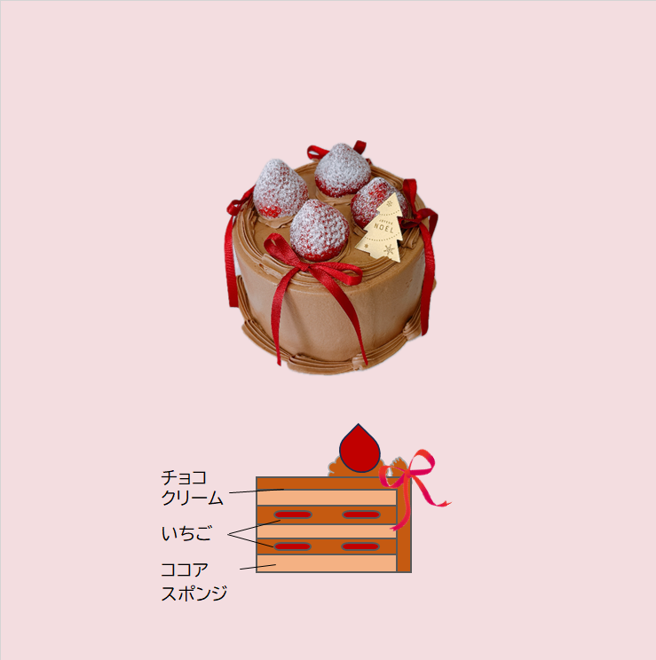⑩チョコクリーム4号（2025Xmas）