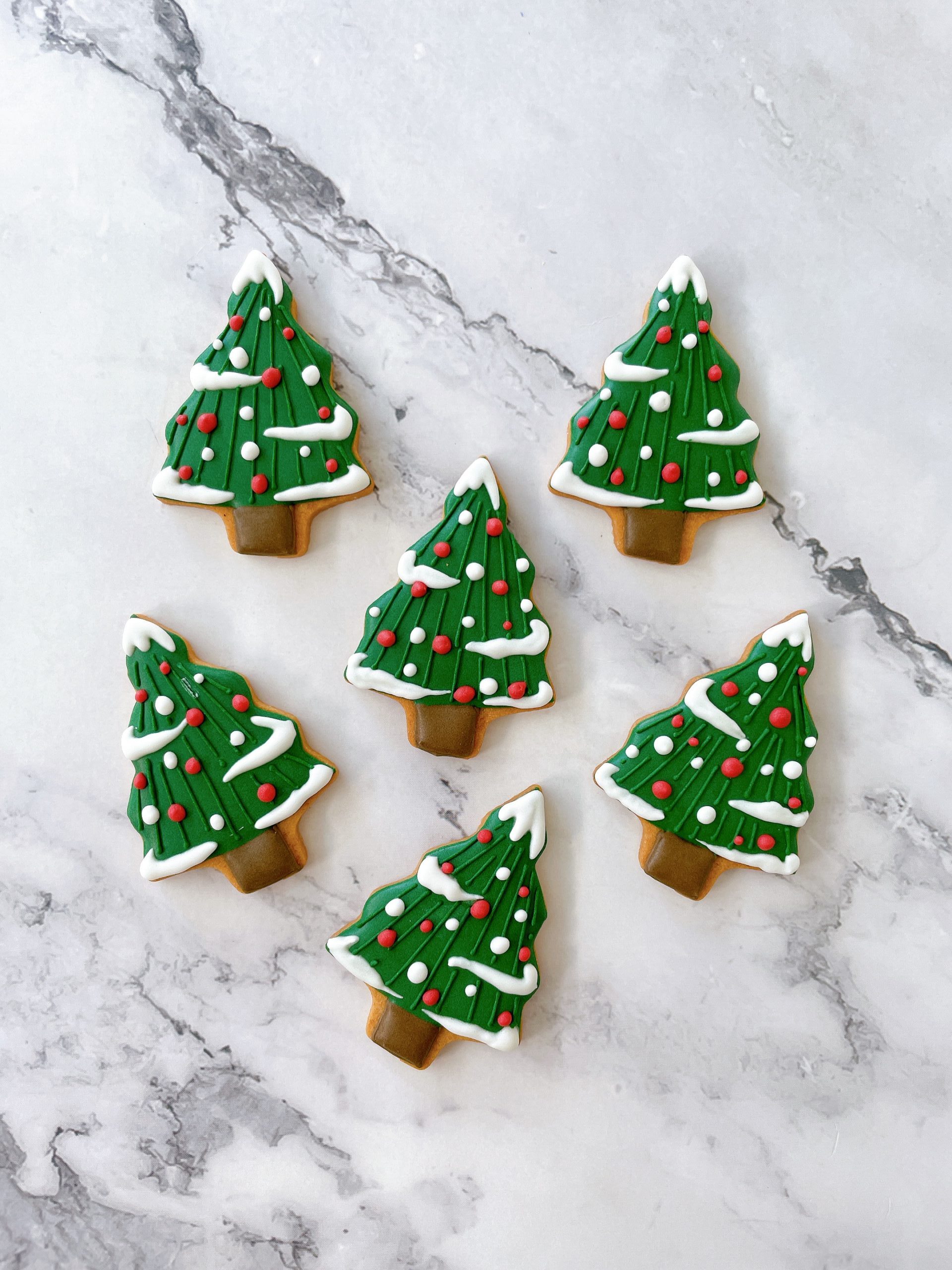 2025　クリスマスツリー