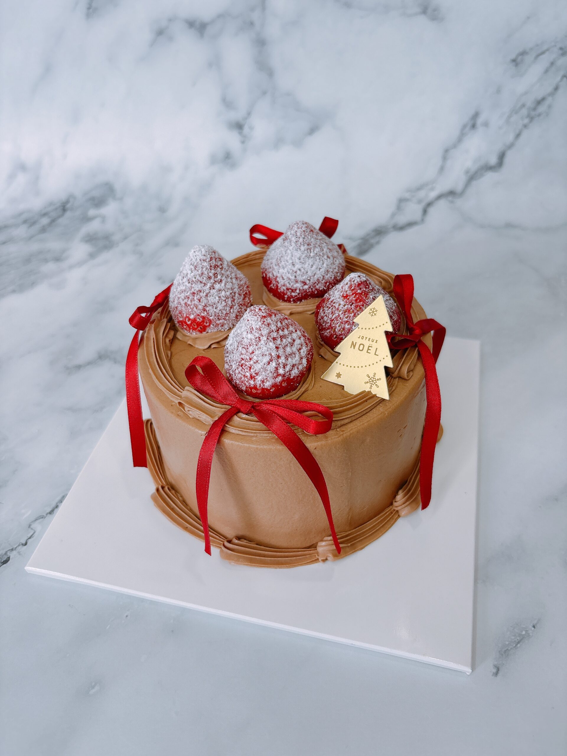 ⑩チョコクリーム4号（2025Xmas）